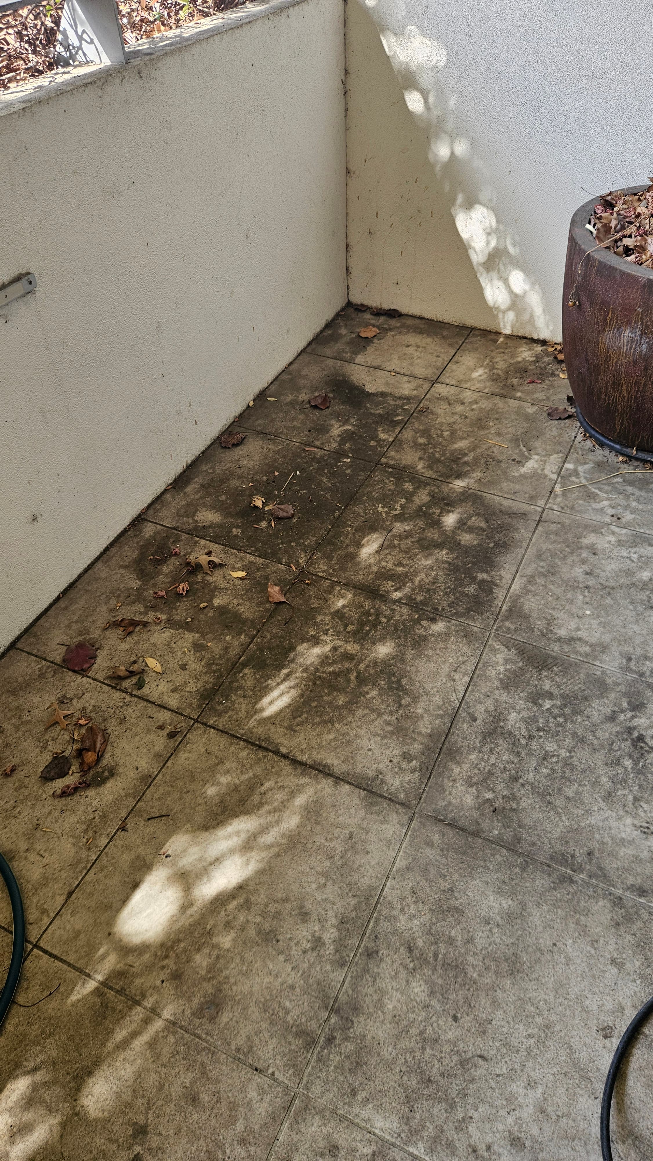 Driveway pressure washing in Canberra